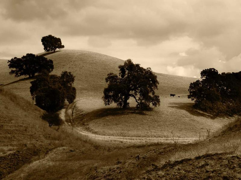 sudoku undo feature screenshot 5