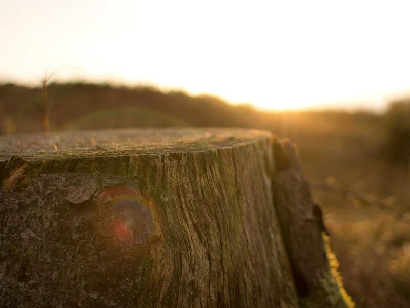 sudoku undo feature screenshot 4